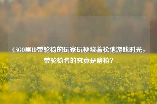 CSGO里ID带轮椅的玩家玩梗藏着松弛游戏时光，带轮椅名的究竟是啥枪？