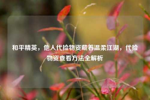 和平精英，他人代捡物资藏着温柔江湖，代捡物资查看方法全解析