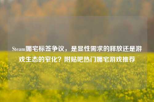 Steam媚宅标签争议,是显性需求的释放还是游戏生态的窄化?附贴吧热门媚宅游戏推荐