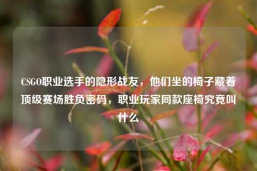 CSGO职业选手的隐形战友，他们坐的椅子藏着顶级赛场胜负密码，职业玩家同款座椅究竟叫什么