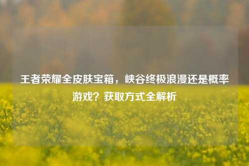 王者荣耀全皮肤宝箱,峡谷终极浪漫还是概率游戏?获取方式全解析