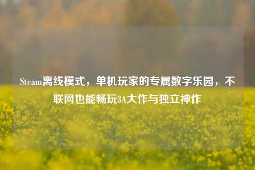 Steam离线模式,单机玩家的专属数字乐园,不联网也能畅玩3A大作与独立神作