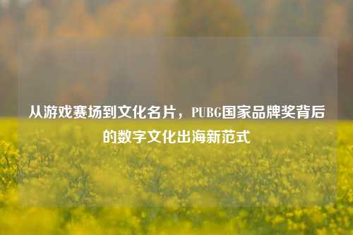 从游戏赛场到文化名片，PUBG国家品牌奖背后的数字文化出海新范式