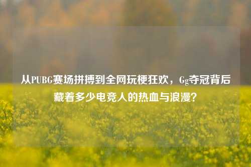 从PUBG赛场拼搏到全网玩梗狂欢，Gg夺冠背后藏着多少电竞人的热血与浪漫？