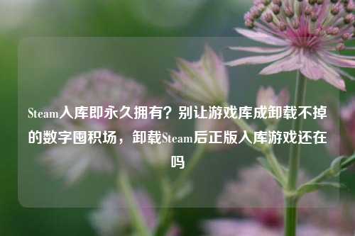 Steam入库即永久拥有？别让游戏库成卸载不掉的数字囤积场，卸载Steam后正版入库游戏还在吗