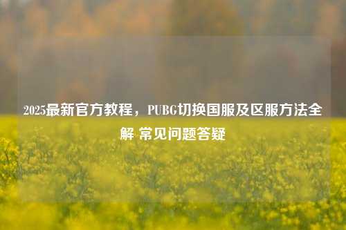 2025最新官方教程,PUBG切换国服及区服方法全解 常见问题答疑