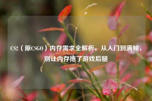 CS2(原CSGO)内存需求全解析,从入门到满帧,别让内存拖了游戏后腿