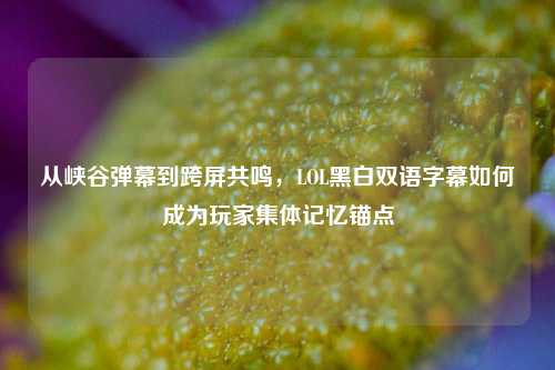 从峡谷弹幕到跨屏共鸣，LOL黑白双语字幕如何成为玩家集体记忆锚点