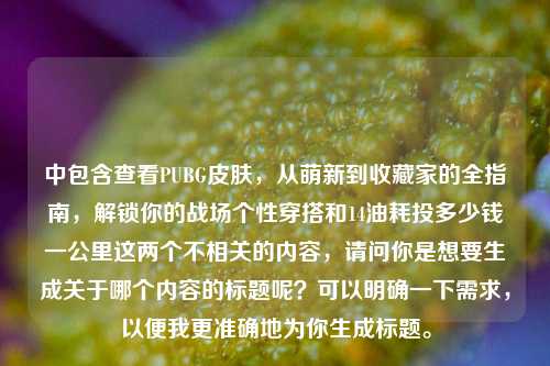 中包含查看PUBG皮肤,从萌新到收藏家的全指南,解锁你的战场个性穿搭和14油耗投多少钱一公里这两个不相关的内容,请问你是想要生成关于哪个内容的标题呢?可以明确一下需求,以便我更准确地为你生成标题。