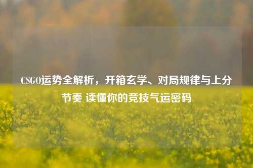 CSGO运势全解析，开箱玄学、对局规律与上分节奏 读懂你的竞技气运密码