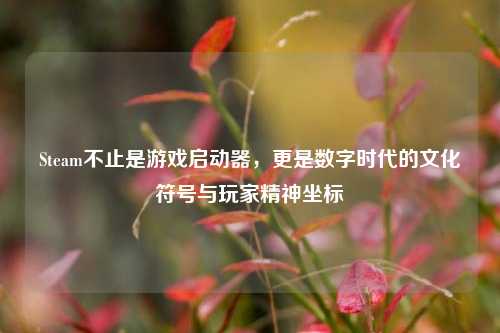 Steam不止是游戏启动器,更是数字时代的文化符号与玩家精神坐标