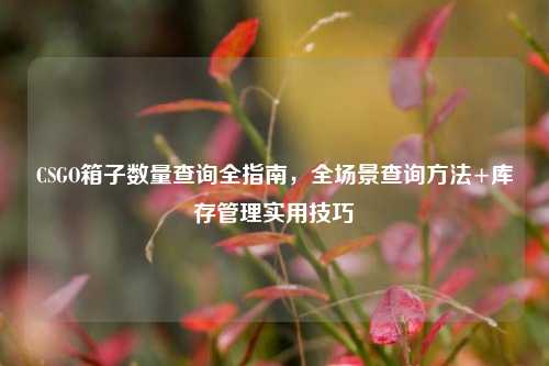 CSGO箱子数量查询全指南,全场景查询方法+库存管理实用技巧