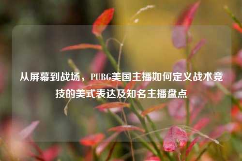从屏幕到战场，PUBG美国主播如何定义战术竞技的美式表达及知名主播盘点