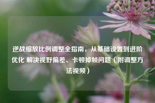 逆战缩放比例调整全指南,从基础设置到进阶优化 解决视野偏差、卡顿掉帧问题(附调整方法视频)