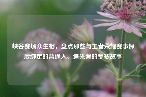 峡谷赛场众生相，盘点那些与王者荣耀赛事深度绑定的普通人、追光者的参赛故事
