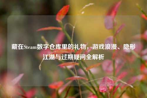 藏在Steam数字仓库里的礼物,游戏浪漫、隐形江湖与过期疑问全解析