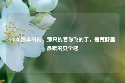 PUBG跳伞时刻，那只拽着你飞的手，是荒野里最暖的安全感