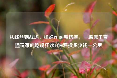 从蛛丝到战场,蜘蛛PUBG票选赛,一场属于普通玩家的吃鸡狂欢14油耗投多少钱一公里