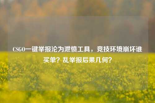 CSGO一键举报沦为泄愤工具，竞技环境崩坏谁买单？乱举报后果几何？