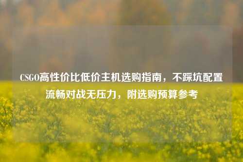 CSGO高性价比低价主机选购指南,不踩坑配置流畅对战无压力,附选购预算参考
