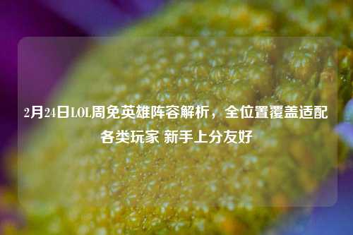 2月24日LOL周免英雄阵容解析，全位置覆盖适配各类玩家 新手上分友好