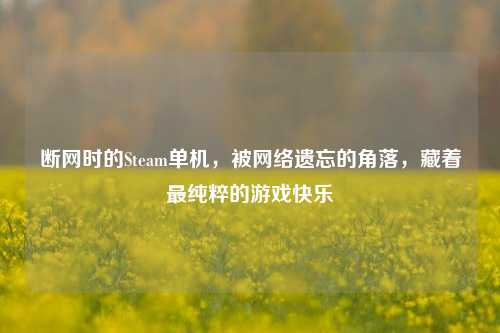断网时的Steam单机，被网络遗忘的角落，藏着最纯粹的游戏快乐