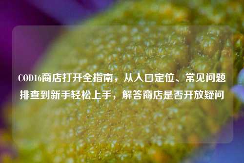 COD16商店打开全指南，从入口定位、常见问题排查到新手轻松上手，解答商店是否开放疑问