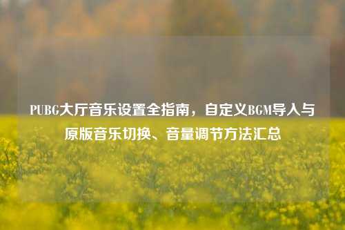 PUBG大厅音乐设置全指南，自定义BGM导入与原版音乐切换、音量调节方法汇总
