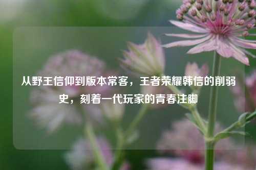 从野王信仰到版本常客，王者荣耀韩信的削弱史，刻着一代玩家的青春注脚