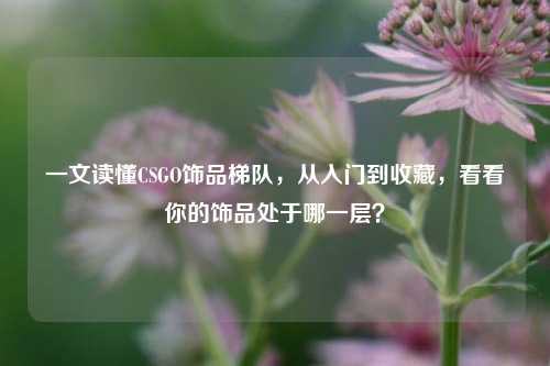 一文读懂CSGO饰品梯队，从入门到收藏，看看你的饰品处于哪一层？