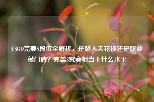 CSGO完美S段位全解析，是路人天花板还是职业敲门砖？完美S究竟相当于什么水平