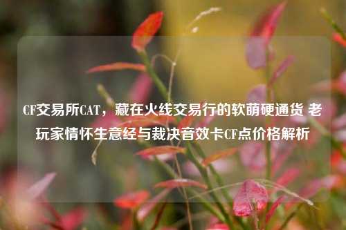 CF交易所CAT，藏在火线交易行的软萌硬通货 老玩家情怀生意经与裁决音效卡CF点价格解析