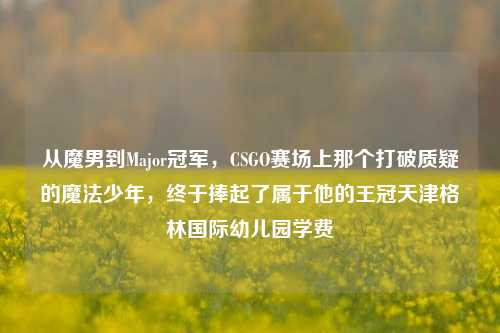 从魔男到Major冠军，CSGO赛场上那个打破质疑的魔法少年，终于捧起了属于他的王冠天津格林国际幼儿园学费