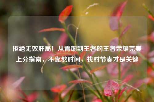 拒绝无效肝局！从青铜到王者的王者荣耀完美上分指南，不靠熬时间，找对节奏才是关键