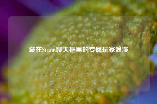 藏在Steam聊天框里的专属玩家浪漫