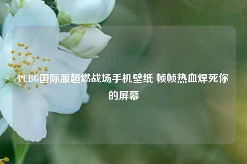 PUBG国际服超燃战场手机壁纸 帧帧热血焊死你的屏幕