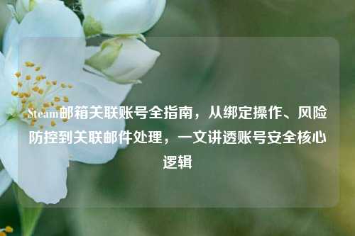 Steam邮箱关联账号全指南，从绑定操作、风险防控到关联邮件处理，一文讲透账号安全核心逻辑