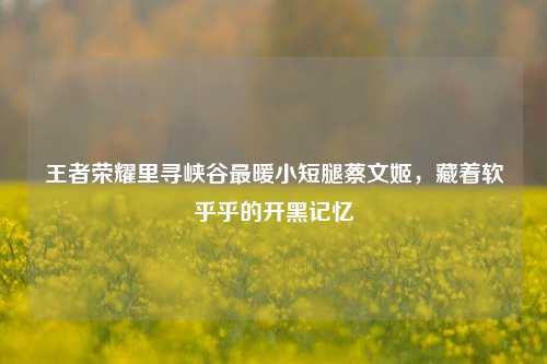 王者荣耀里寻峡谷最暖小短腿蔡文姬，藏着软乎乎的开黑记忆