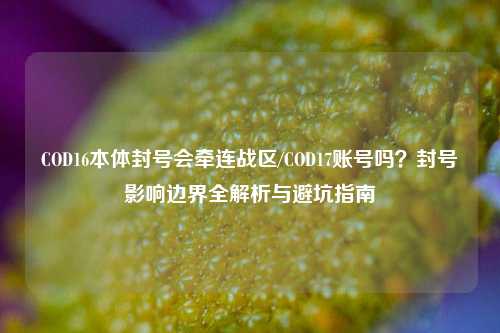 COD16本体封号会牵连战区/COD17账号吗？封号影响边界全解析与避坑指南