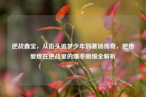 逆战鑫宝，从街头追梦少年到赛场传奇，把热爱焊在逆战里的爆率明细全解析