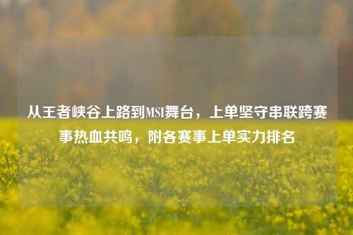 从王者峡谷上路到MSI舞台，上单坚守串联跨赛事热血共鸣，附各赛事上单实力排名