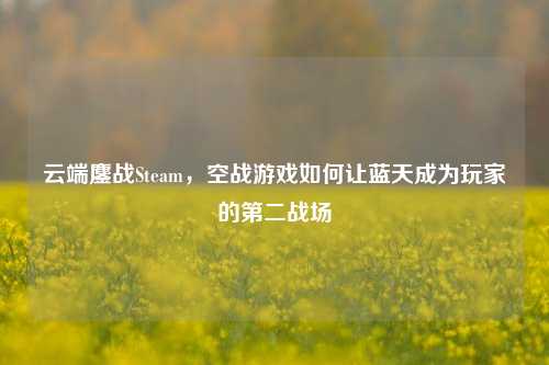 云端鏖战Steam，空战游戏如何让蓝天成为玩家的第二战场