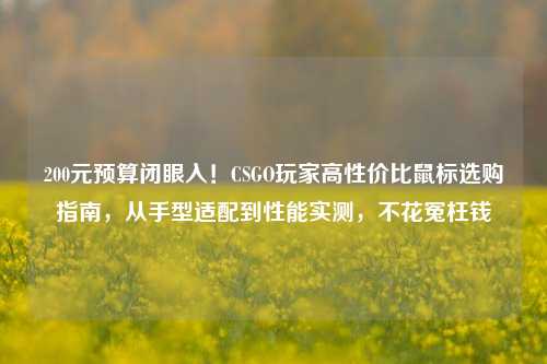 200元预算闭眼入！CSGO玩家高性价比鼠标选购指南，从手型适配到性能实测，不花冤枉钱