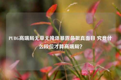 PUBG高端局无草无掩体暴露最狠真面目 究竟什么段位才算高端局？
