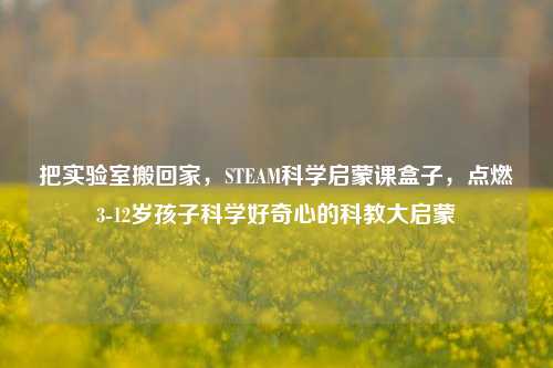 把实验室搬回家，STEAM科学启蒙课盒子，点燃3-12岁孩子科学好奇心的科教大启蒙