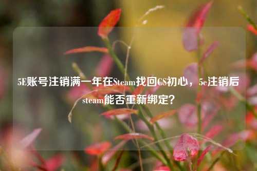 5E账号注销满一年在Steam找回CS初心，5e注销后steam能否重新绑定？