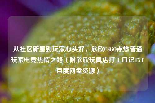 从社区新星到玩家心头好，欣欣CSGO点燃普通玩家电竞热情之路（附欣欣玩具店打工日记TXT百度网盘资源）