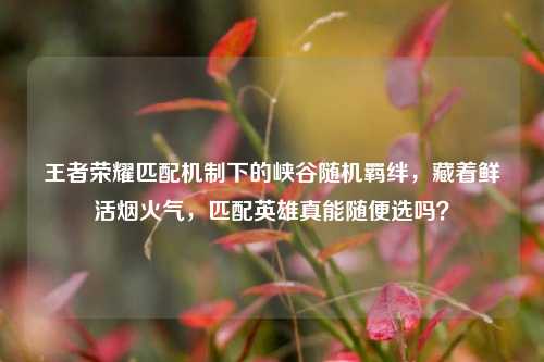 王者荣耀匹配机制下的峡谷随机羁绊,藏着鲜活烟火气,匹配英雄真能随便选吗?