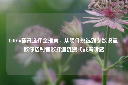 COD16音讯选择全指南,从硬件挑选到参数设置 教你选对音效打造沉浸式战场听感