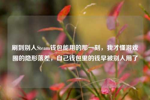 刷到别人Steam钱包能用的那一刻,我才懂游戏圈的隐形落差,自己钱包里的钱早被别人用了